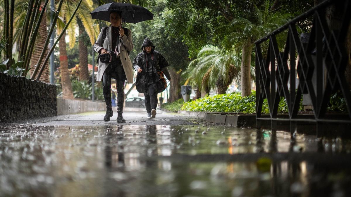 Dos personas pasean por el Parque García Sanabria, tratando de resguardarse de la fuerte lluvia.