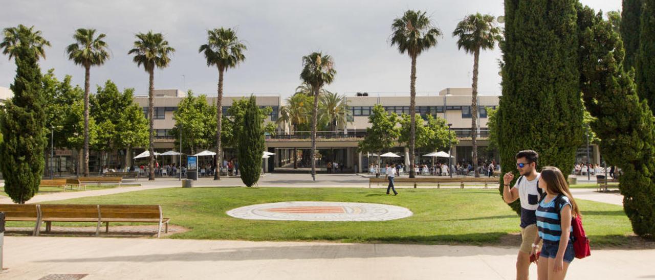 La universidad valenciana languidece en los «rankings»