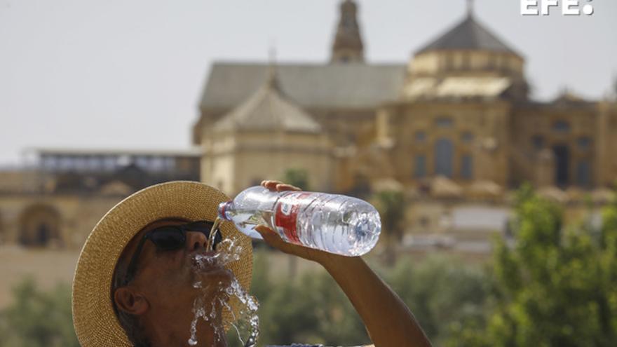 Com actuar davant un cop de calor