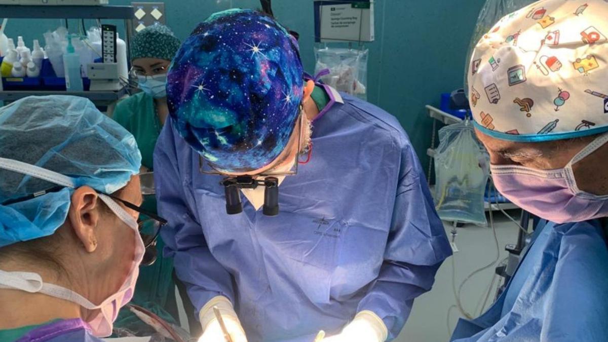 Los cirujanos del Hospital Universitario de Canarias reparan una válvula aórtica. | | E.D.