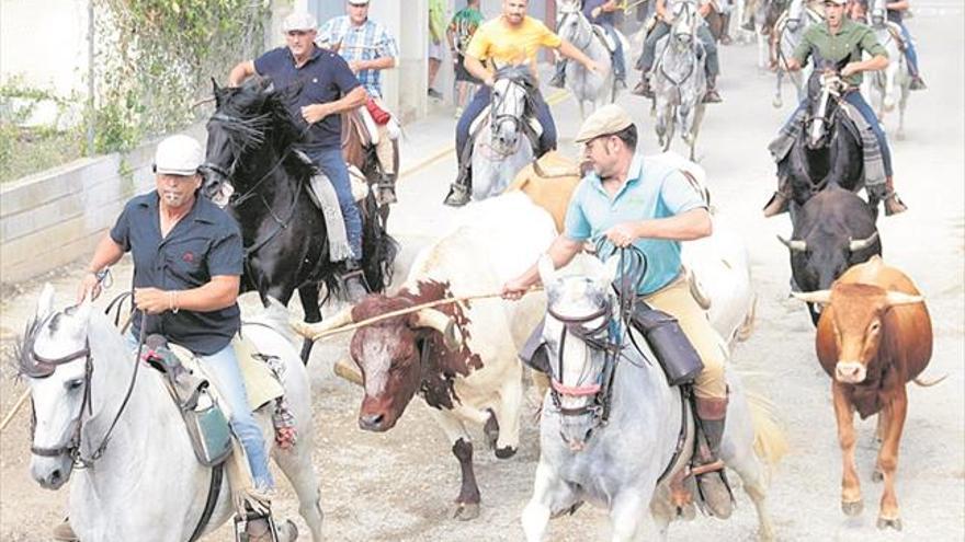 Alcalà disfruta del encierro campero en la penúltima jornada de festejos