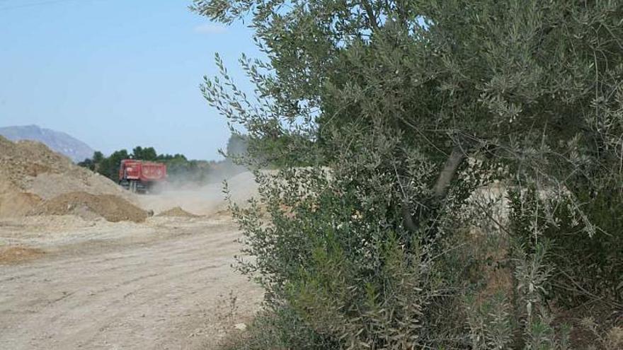 Las obras de la autovía han tenido gran incidencia sobre la agricultura, dado que se han arrancado centenares de olivos