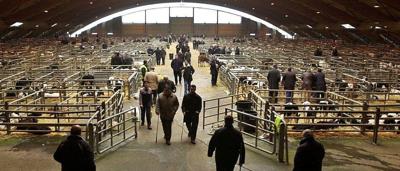 El mercado de ganado de Pola de Siero, en una imagen de archivo.