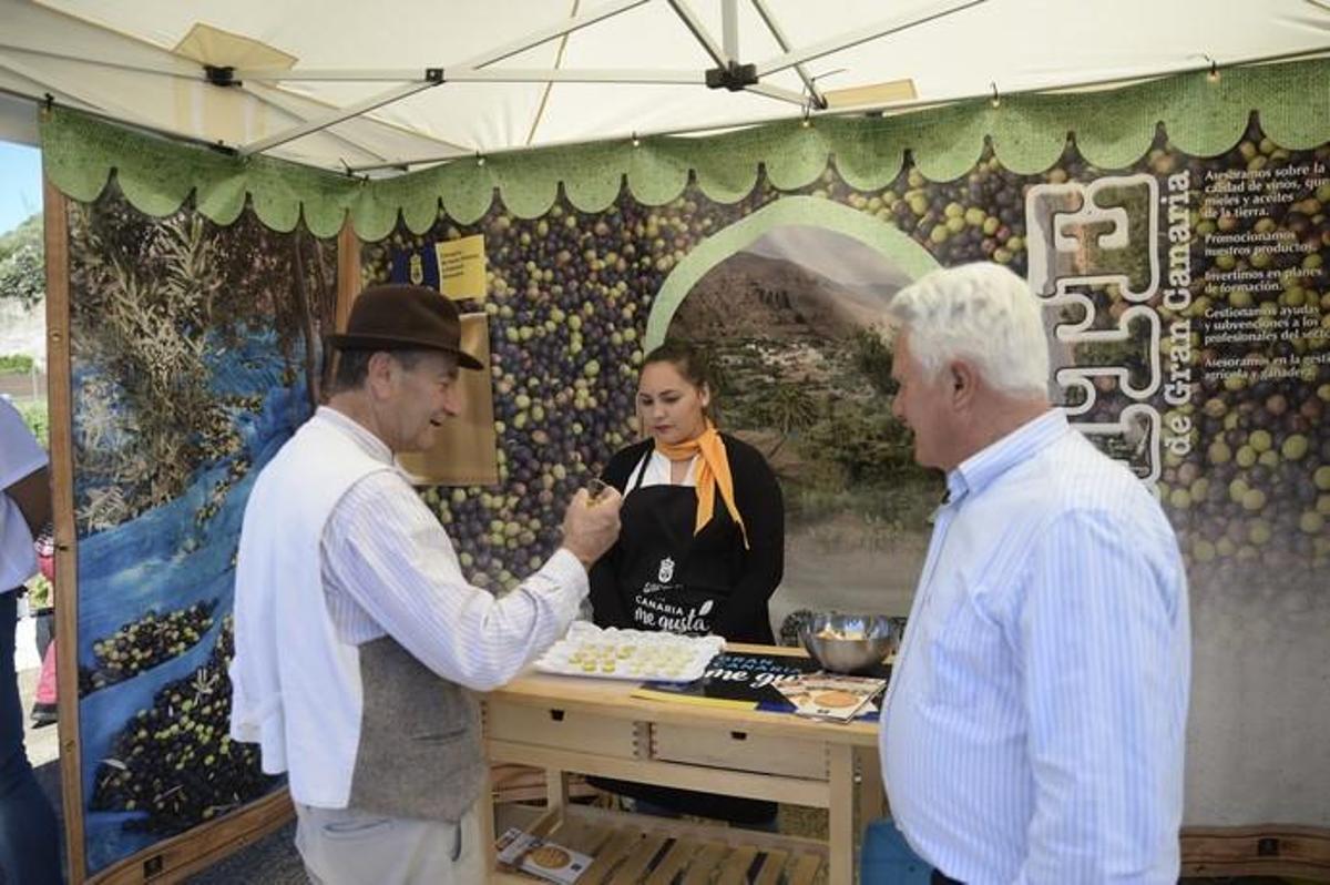 FIESTA DEL QUESO MONTAÑA ALTA FIESTA DEL QUESO MONTAÑA ALTA