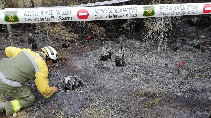 Piden ocho años de cárcel a un hombre por provocar dos incendios en la Serra de Tramuntana