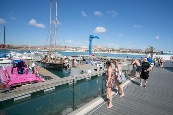 FUERTEVENTURA - Oceanarium Explorer  - CALETA DE FUSTE - 06-05-17