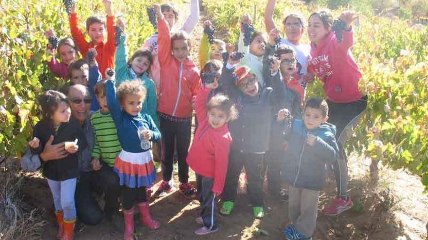 La comunidad de la escuela de Sanzoles muestra los racimos recogidos en la viña.