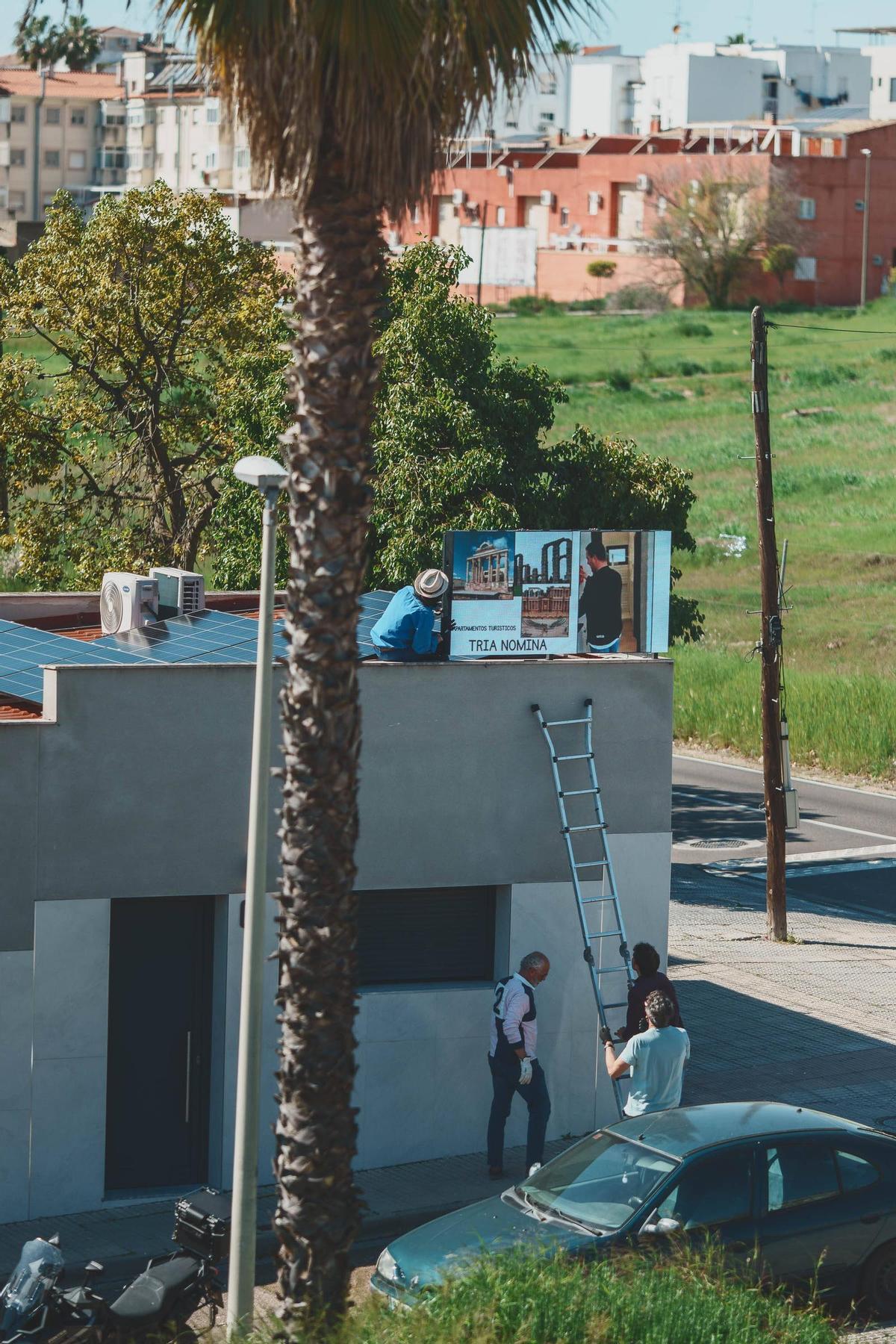 Fotogalería | El empleo en Mérida