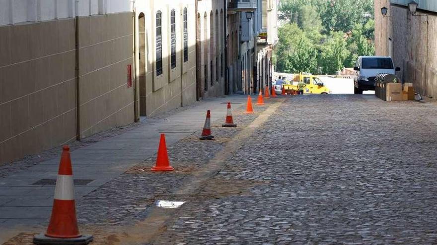 Alcorques de Alfonso XII que el Ayuntamiento ha tapado con adoquines.