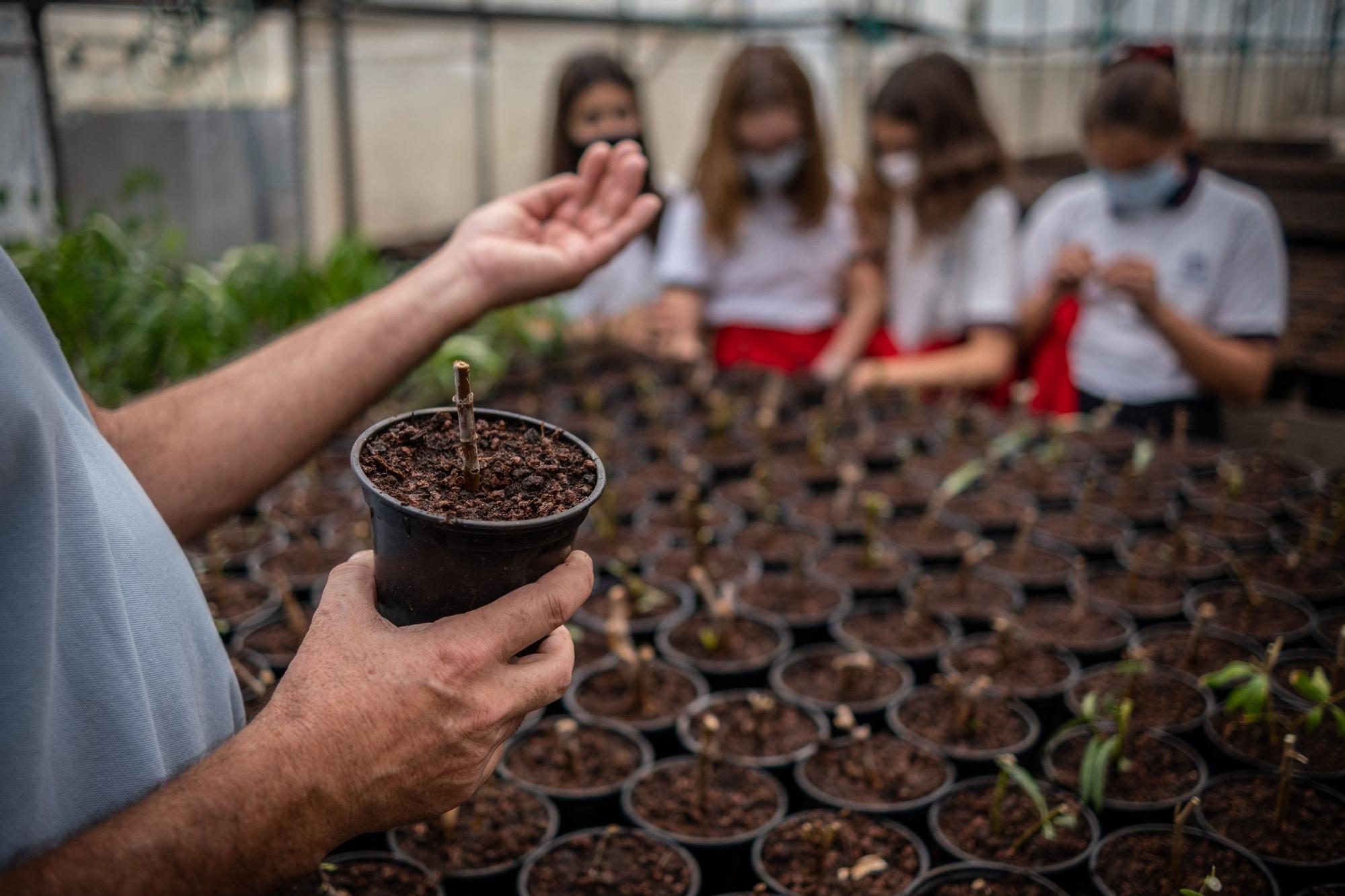 Visita a la fábrica de los jardines