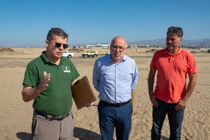 Segunda fase del proyecto de recuperación de las dunas de Maspalomas