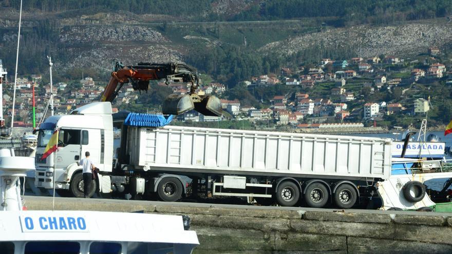 Reabren todas las bateas de la ría de Vigo y los mejilloneros de Moaña aceleran la exportación