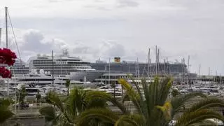 La plataforma de Sí a los Cruceros exige al alcalde de Palma que "deje de demonizar" este turismo y regule los flujos de turistas