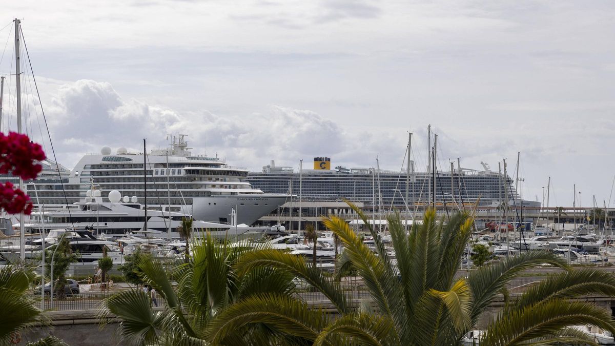 Cruceros en el puerto de Palma, en imagen de archivo.
