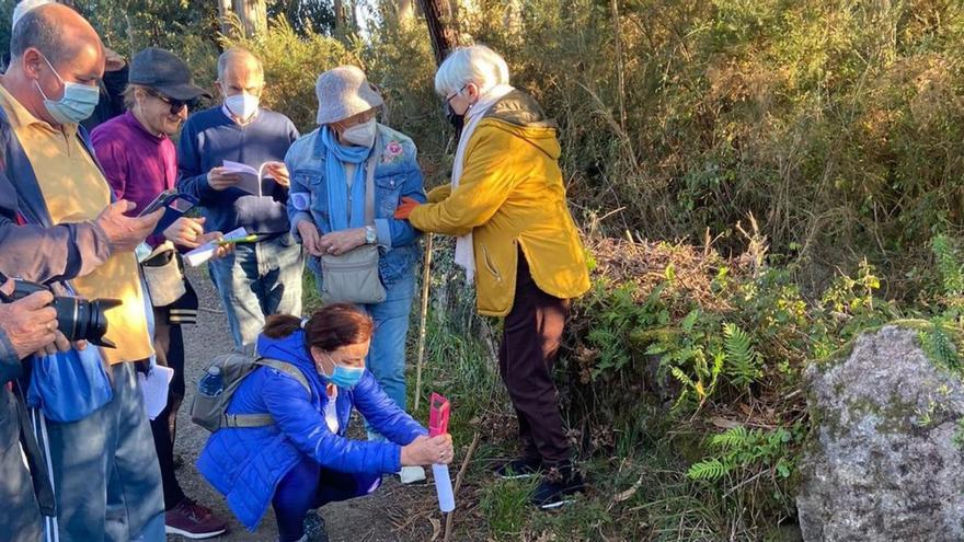 Cambados recorre sus marcos y arregla la fuente del malogrado Narciso Pérez | CEDIDA/ IÑAKI ABELLA
