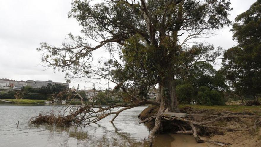 El Concello de Oleiros traslada a Fiscalía el deterioro de la playa de Santa Cristina