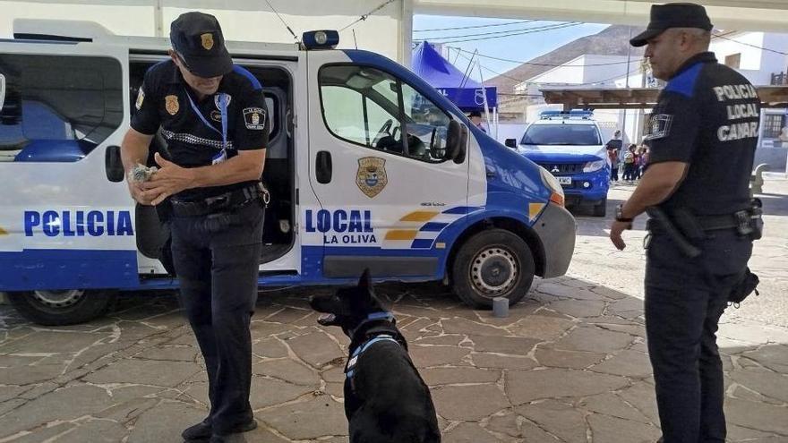 Uno de los perros de la Unidad Canina de la Policía Local de La Oliva.  |