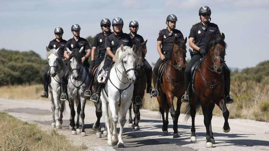 Policías a caballo, en la zona en la que ocurrió el crimen. // Diario de León