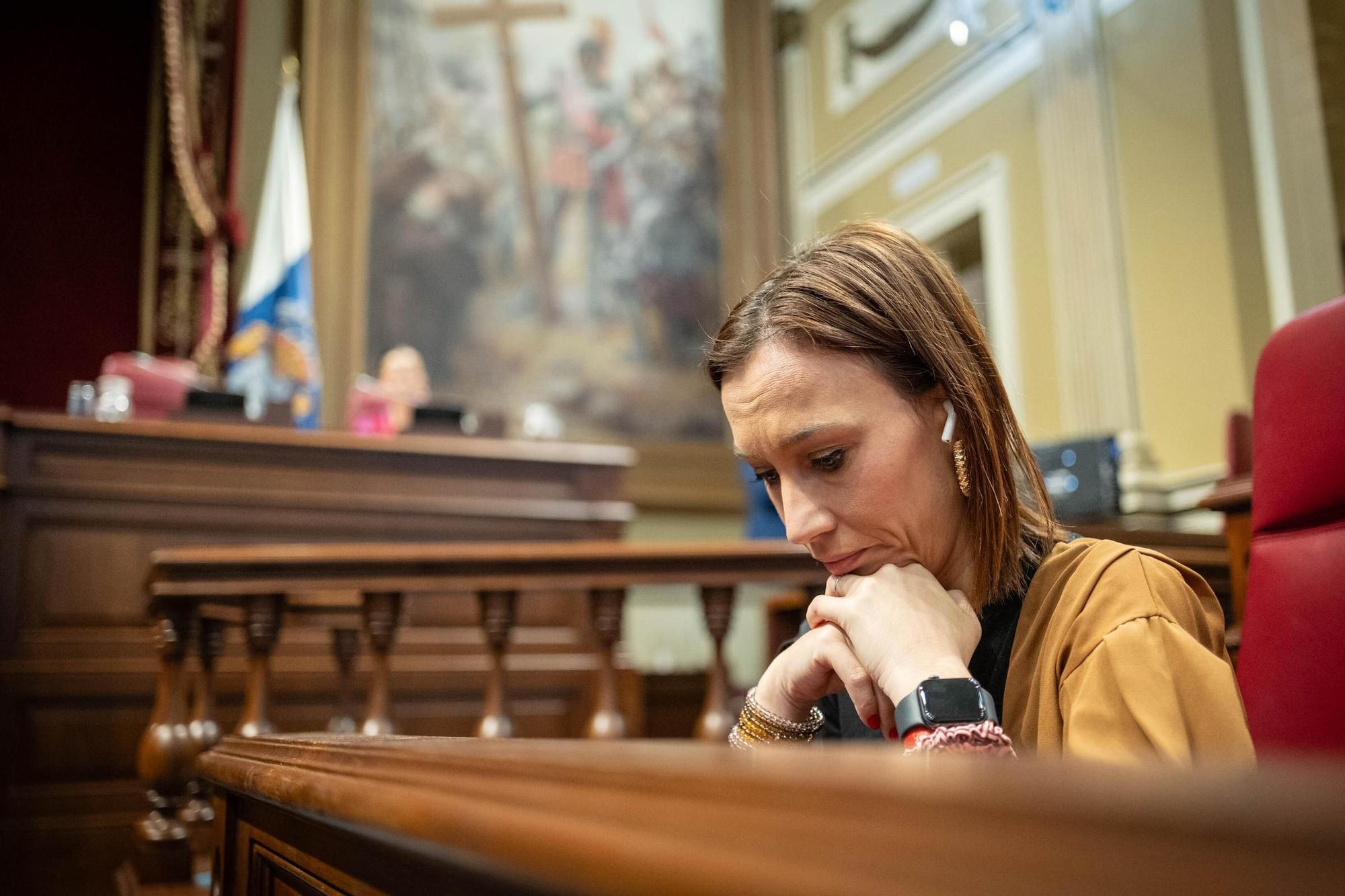 Pleno del Parlamento de Canairas (30/04/25)