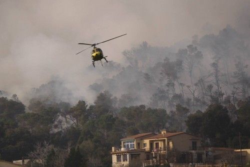 Incendi forestal a peu de les Gavarres