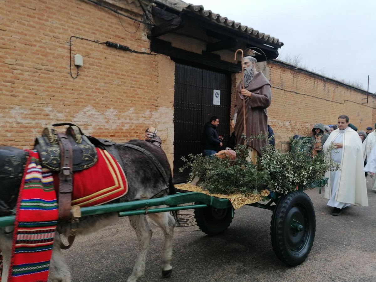 GALERÍA | San Antón procesiona por primera vez en Toro