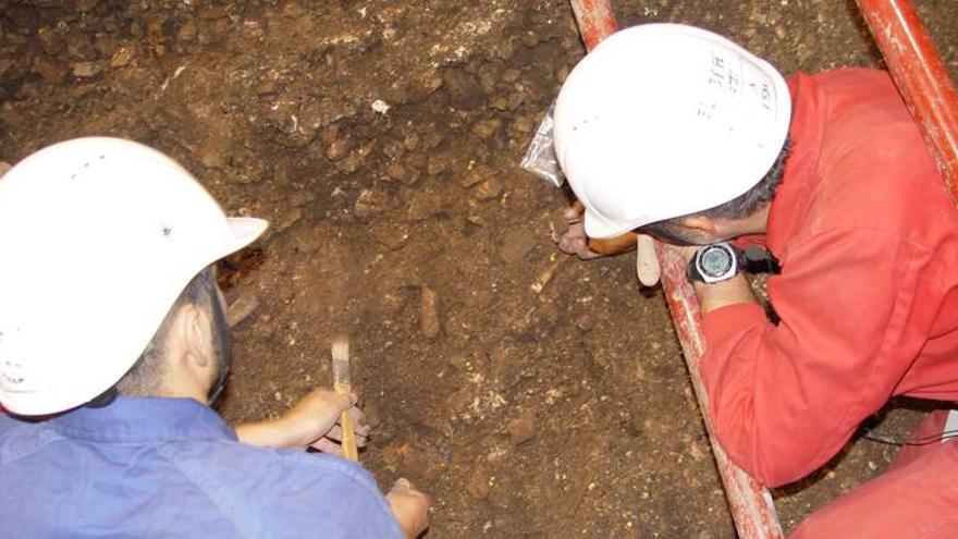 Avalancha de nuevos restos humanos en la Cueva del Ángel