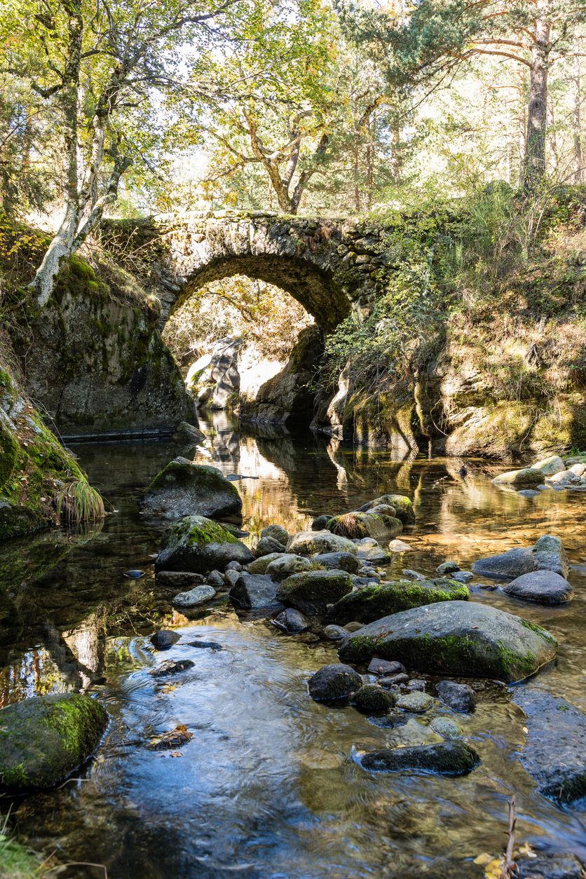 En la ruta también encintrarás preciosos puentes.