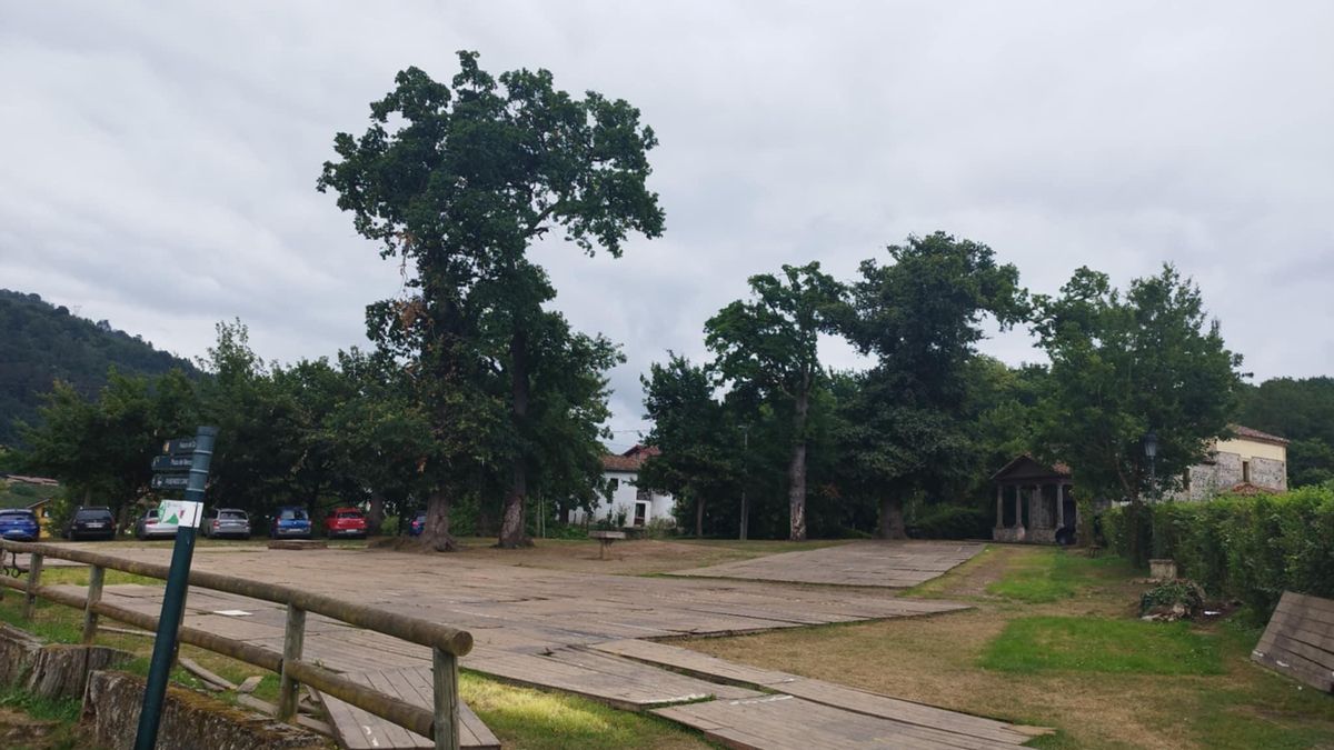 El robledal de San Antoniu, aún con los tableros de madera que se instalaron para las fiestas locales.