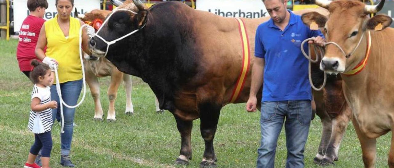 Reses premiadas ayer en el pabellón de La Magdalena.