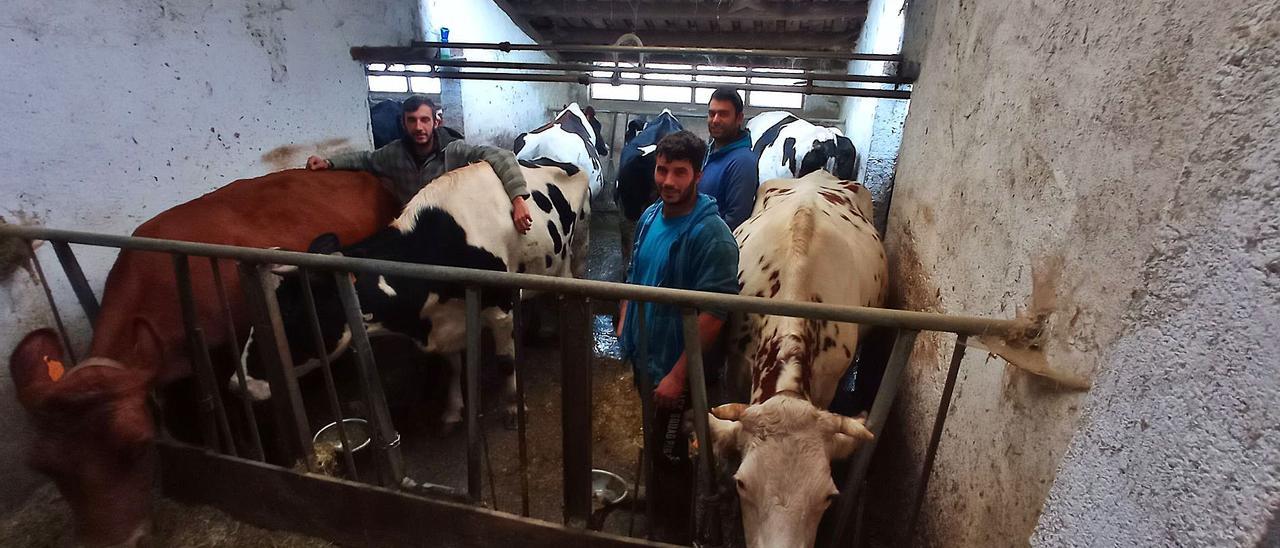 De izquierda a derecha, Francisco Javier Carbajal, Ignacio Rodríguez y Daniel Elola, con parte de sus vacas de leche en la cuadra de Pandiello. | E. S. Román