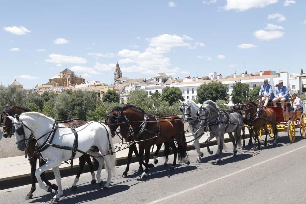 Exhibición de carruajes de tradición en El Arenal