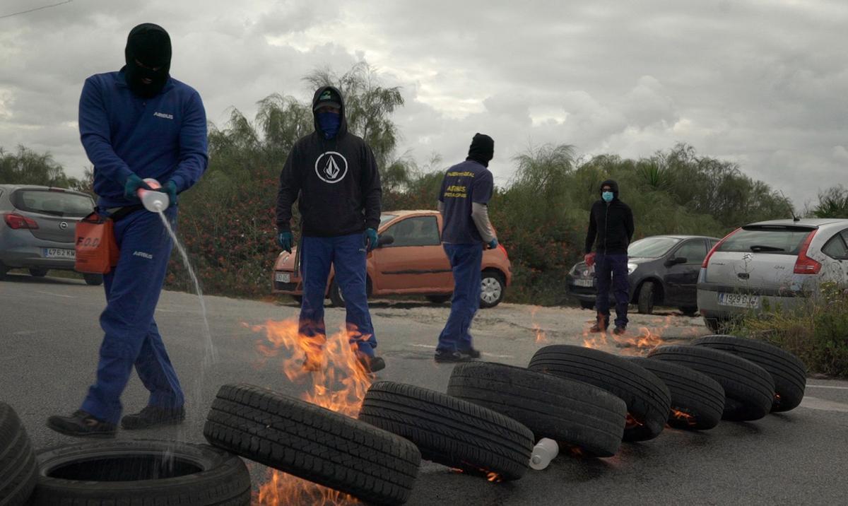 Imagen del documental 'Hormigas perplejas'