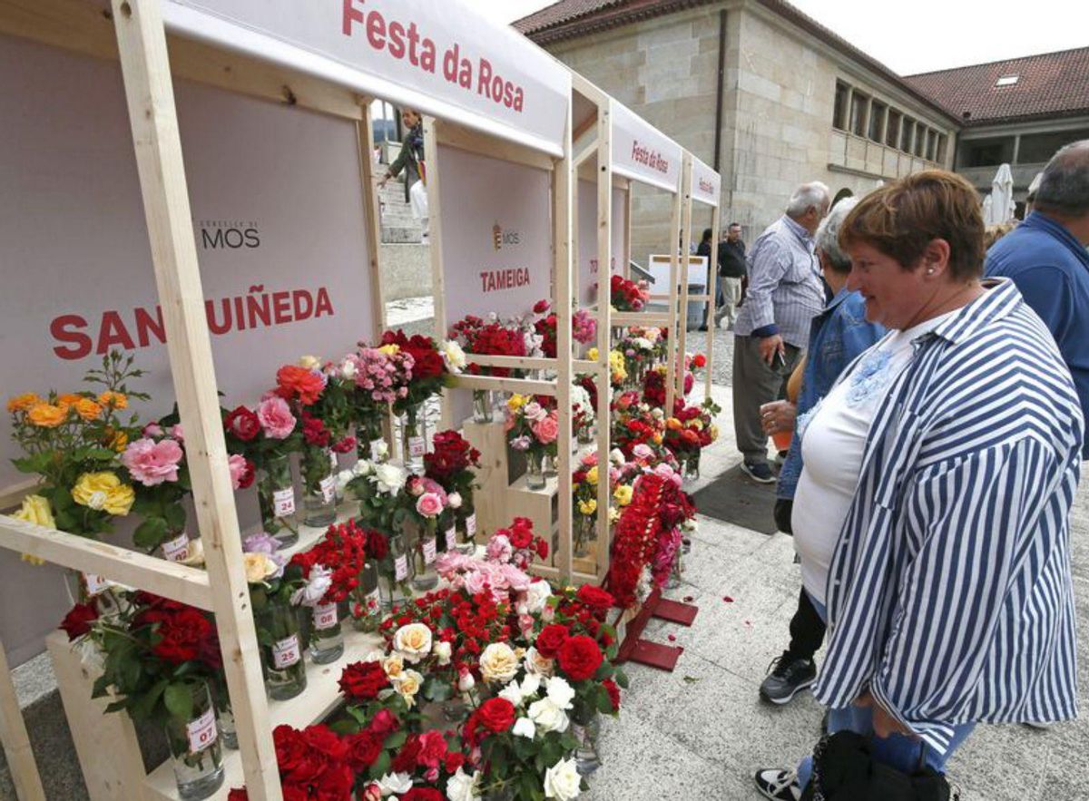 Asistentes visitando os postos dos ramos de rosas da Festa da Rosa de Mos 2025. | // ANXO GUTIÉRREZ