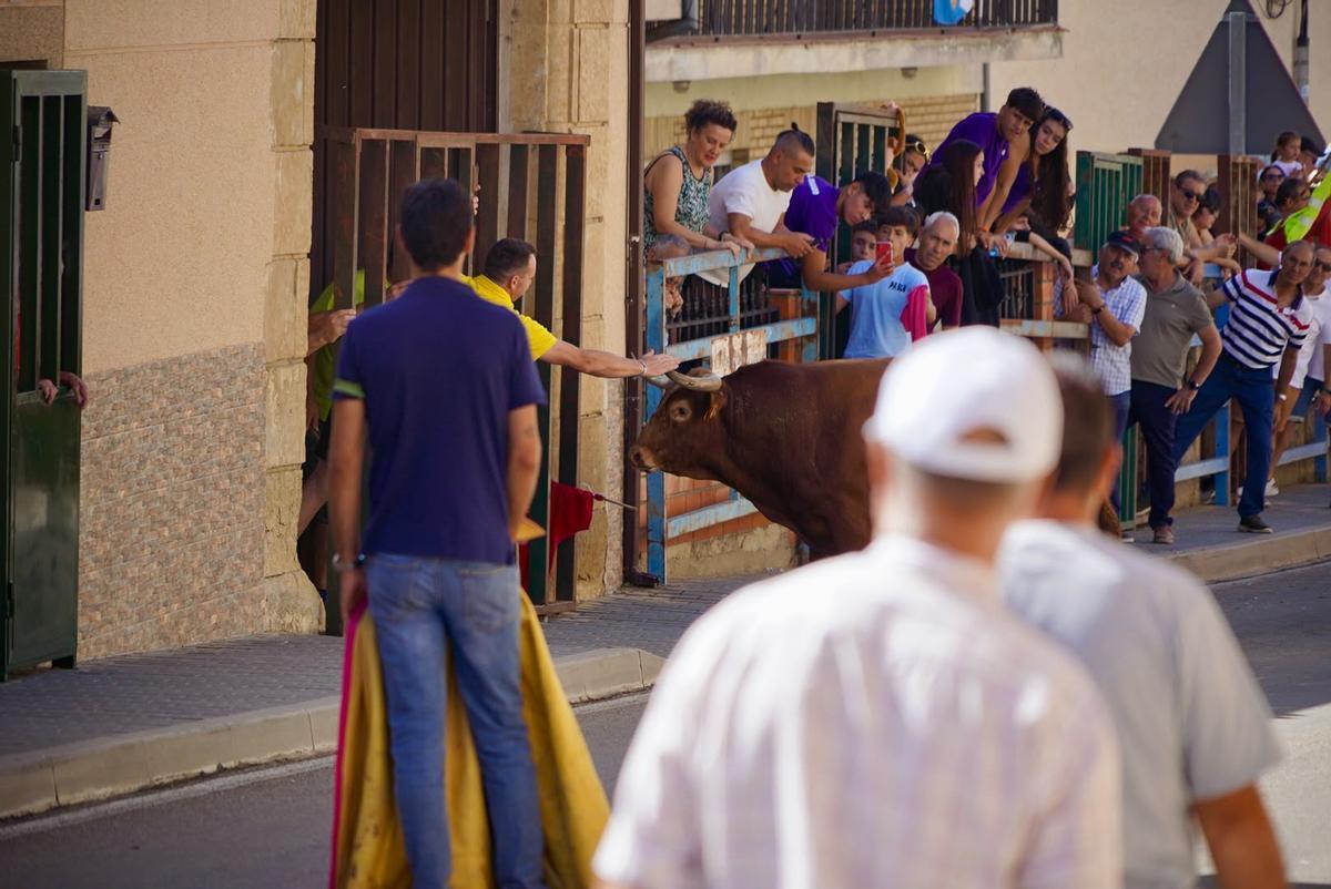 GALERÍA | Emoción y riesgo en el encierro de La Bóveda de Toro