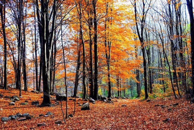 Montseny, Barcelona