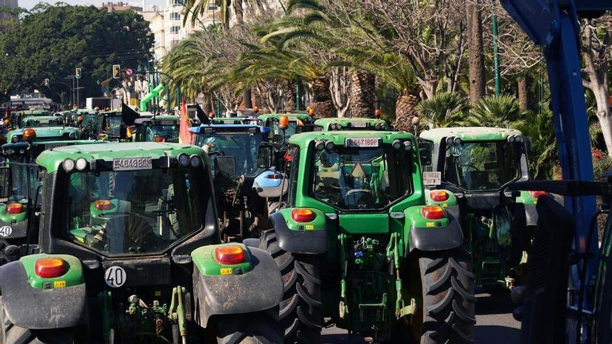 Cientos de agricultores se concentran como protesta en el Paseo del Parque de Málaga. A 21 de febrero de 2024, en Málaga (Andalucía, España).