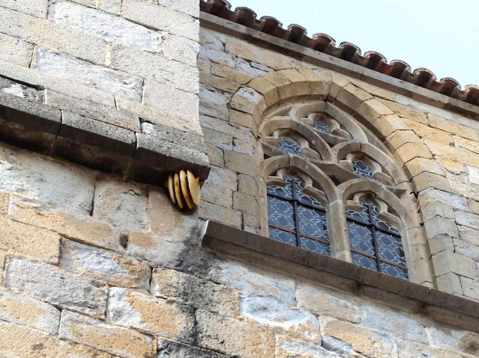 Ruscs d'abelles a la Basílica de Castelló d'Empúries