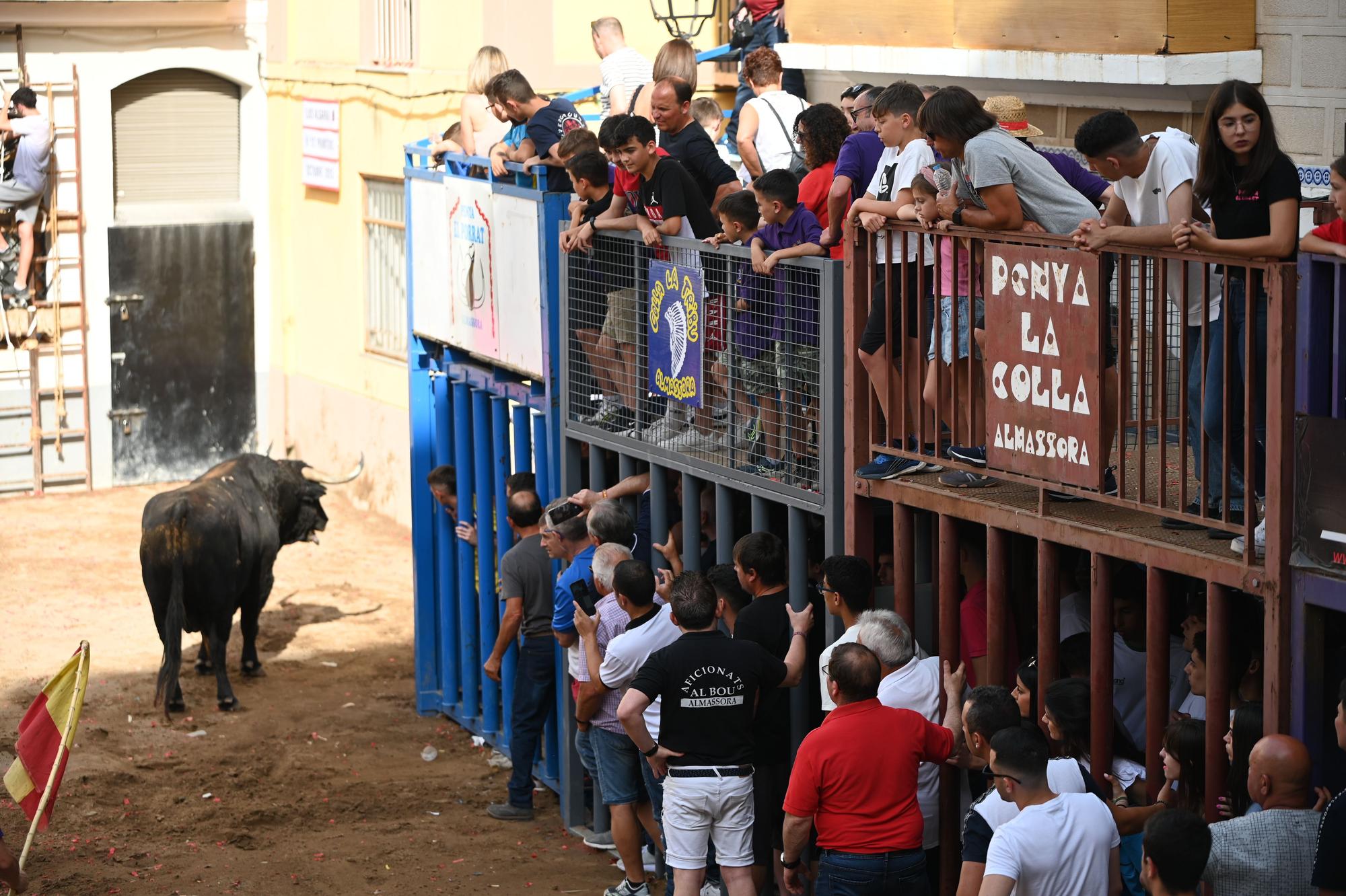 GALERÍA I Primer día de Bou per la Vila en Almassora con gran ambiente festivo en el recinto