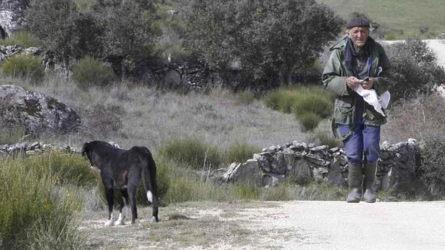 Antonio Velasco pasea acompañado de un perro durante sus últimos días de ganadero.