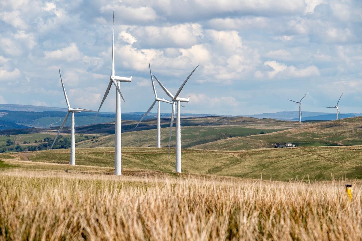 Aumenta el interés de inversión en energías renovables.