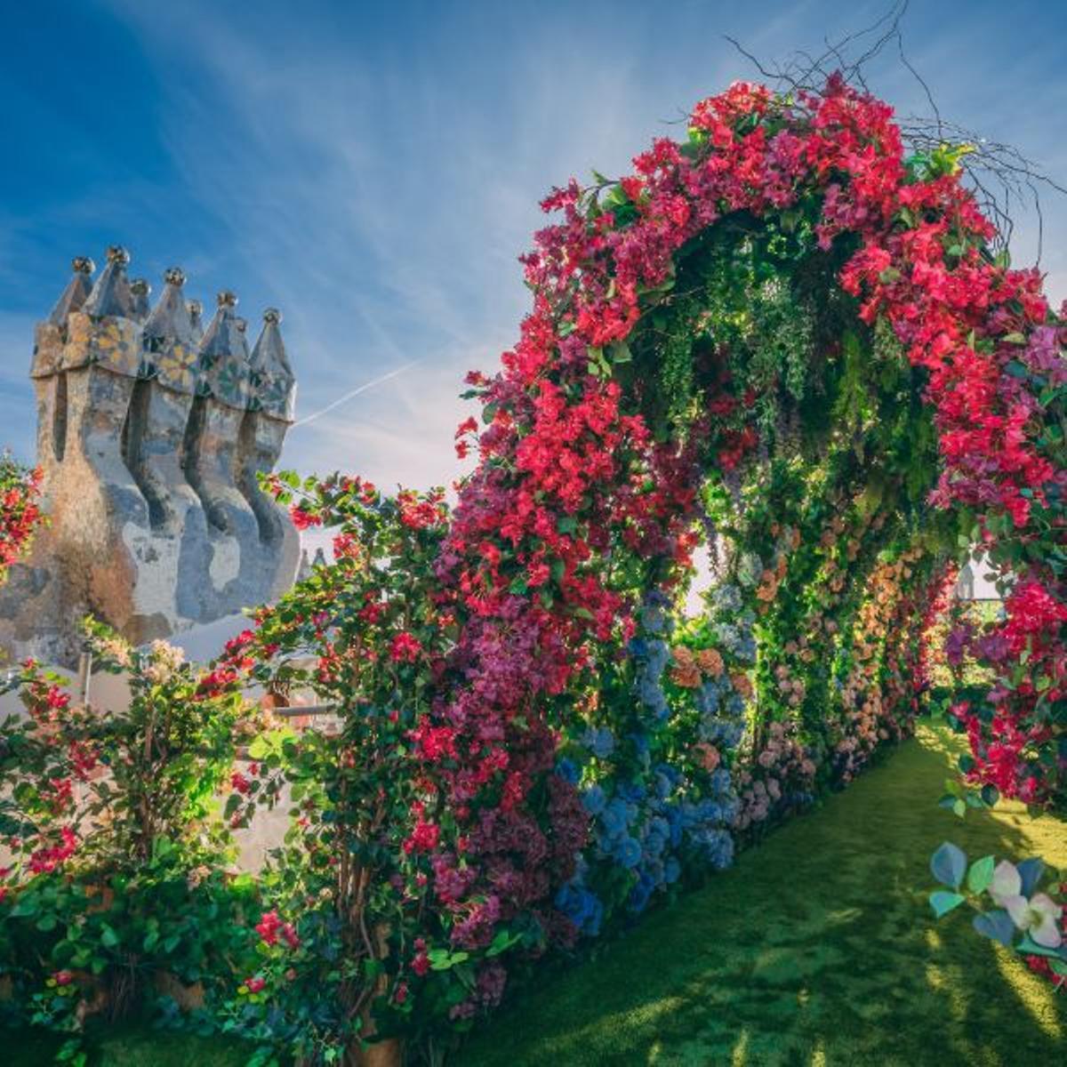 Imagen del 'Sky Garden' instalada en lo alto de la Casa Batlló.