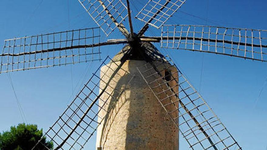 Crónica de los molinos pitiusos - Diario de Ibiza Crónica de los molinos pitiusos - Diario de Ibiza