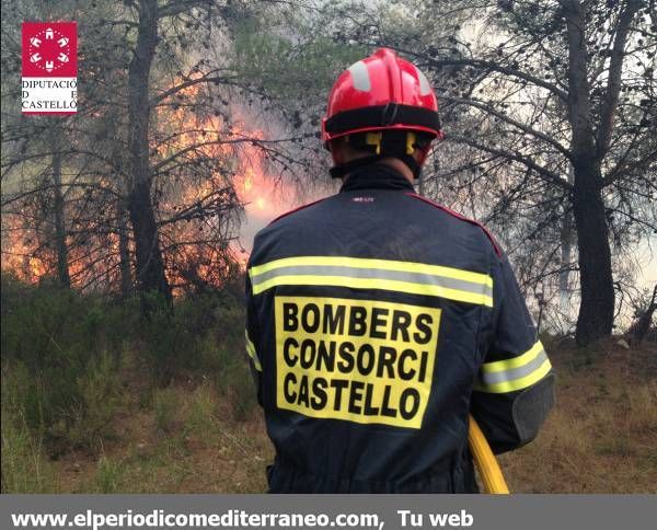 GALERÍA DE FOTOS -  Incendio en la Sierra Calderona