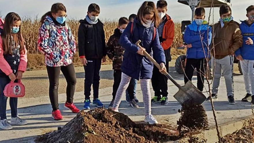 Una niña realizando las labores de plantación. | E. P.