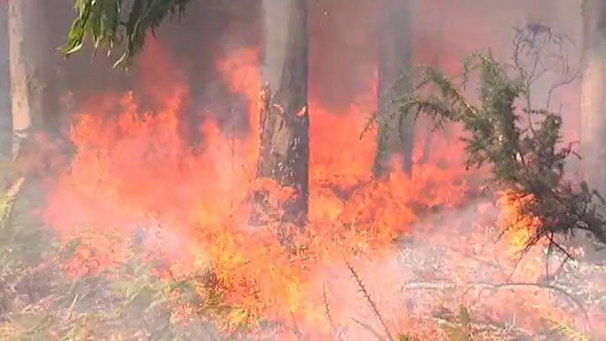 Solo el 5% de los incendiarios detenidos en Galicia llegan a ser juzgados