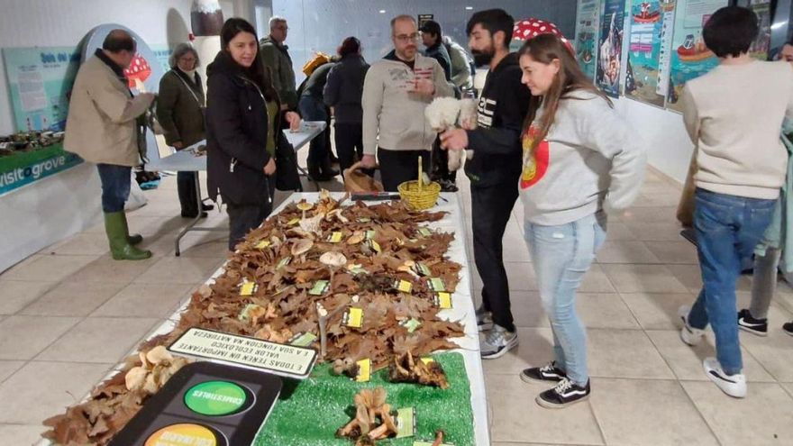 El maridaje festivo de setas y centollo tiene futuro