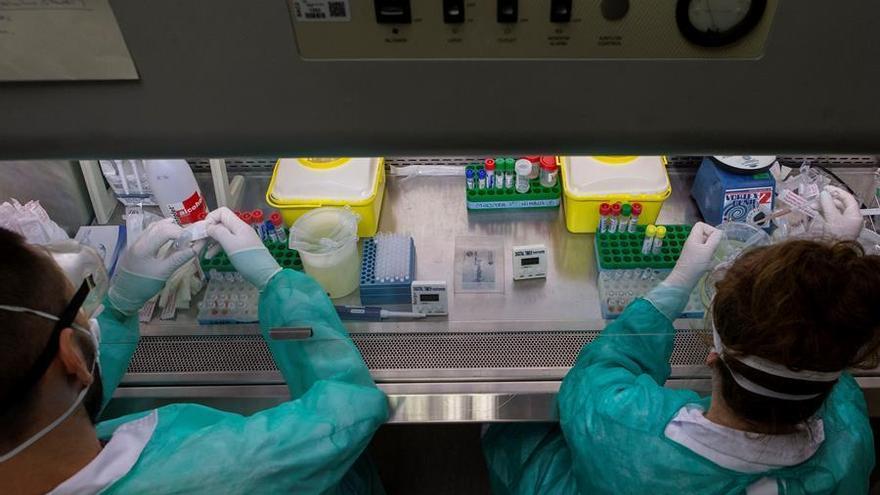 Dos nuevos fallecidos y ligero repunte de contagios por coronavirus en Extremadura