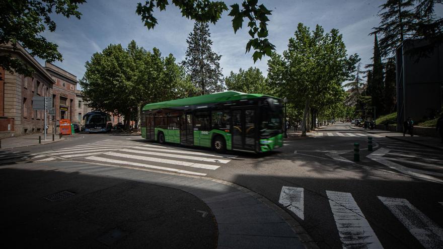 La línia 8 del bus urbà doblarà serveis els dies festius amb botigues obertes