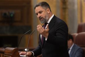 Abascal ataca al Gobierno y el PP: “Fingen discutir sobre calidad democrática cuando se han repartido jueces como cromos”