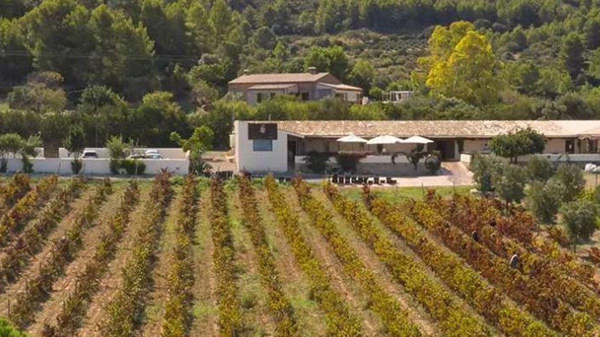Blick auf das Weingut Bodega Conde de Suyrot